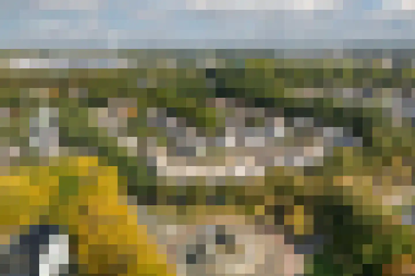 Dr. Ir. Vondelingpark 21 Ede thumbnail 25