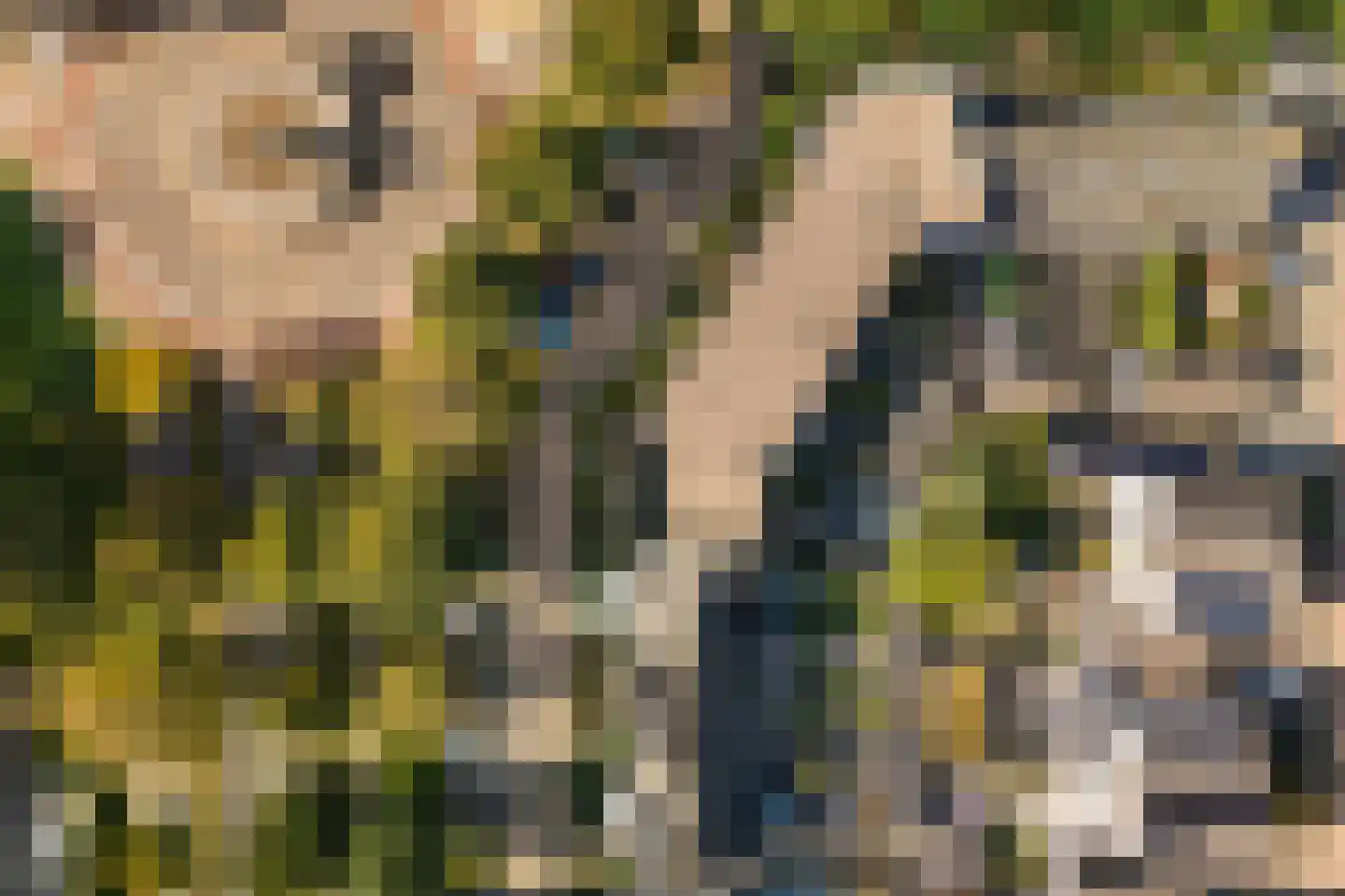 Dr. Ir. Vondelingpark 21 Ede thumbnail 26