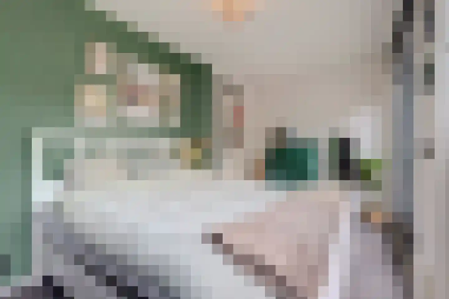 Dr. Ir. Vondelingpark 5 Ede thumbnail 20