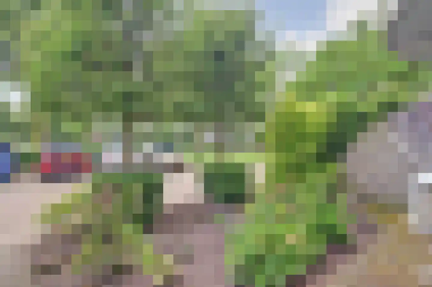 Dr. Ir. Vondelingpark 5 Ede thumbnail 26