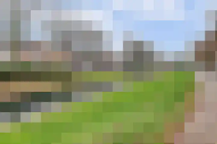 Dr. Ir. Vondelingpark 7 Ede thumbnail 37