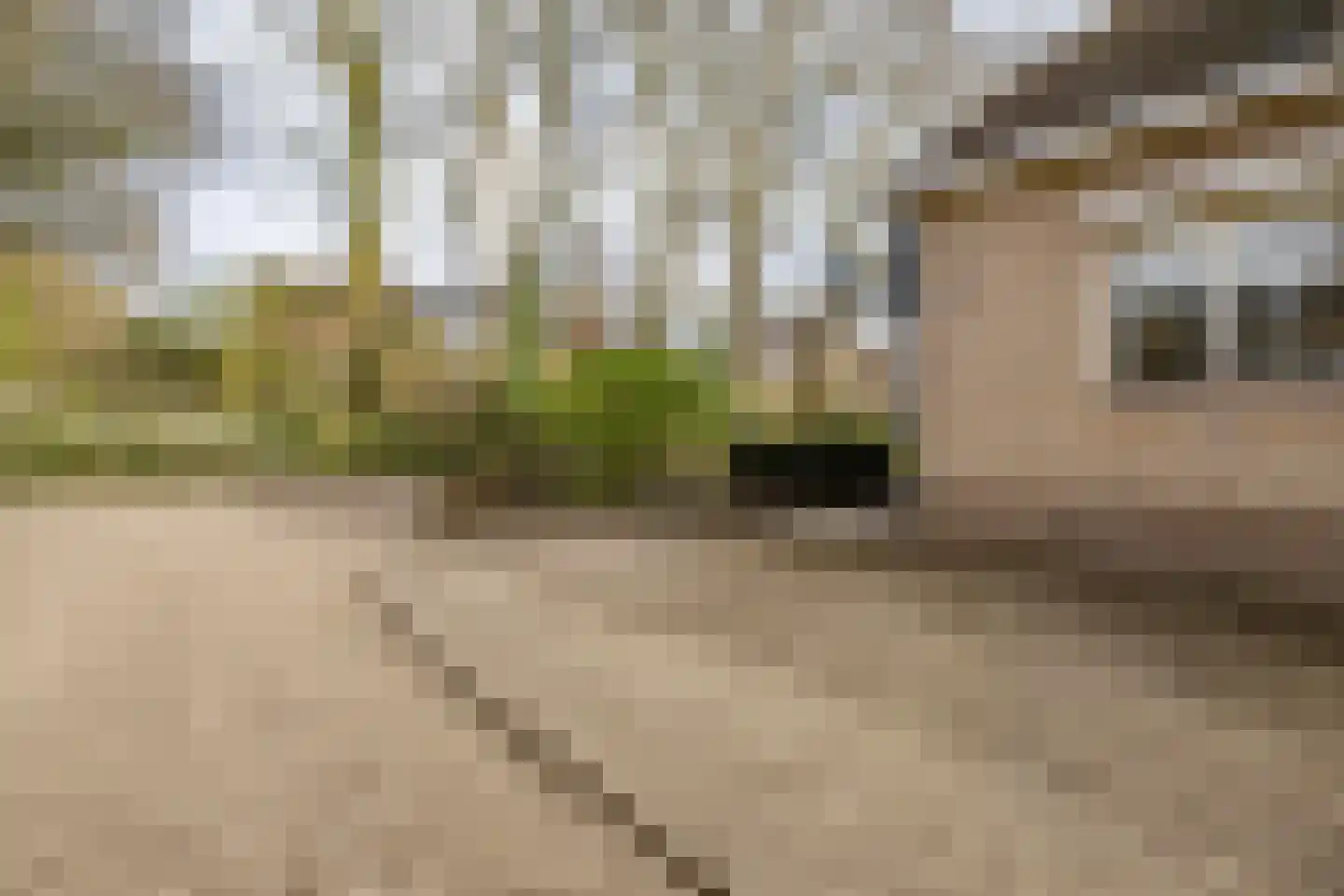 Dr. Ir. Vondelingpark 71 Ede thumbnail 31