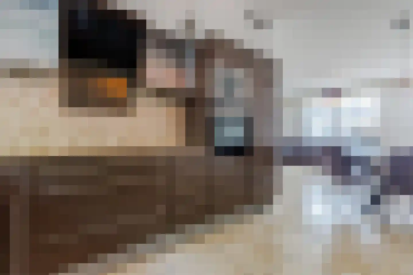 Dr. J.A. Ringersstraat 5 Amsterdam thumbnail 11
