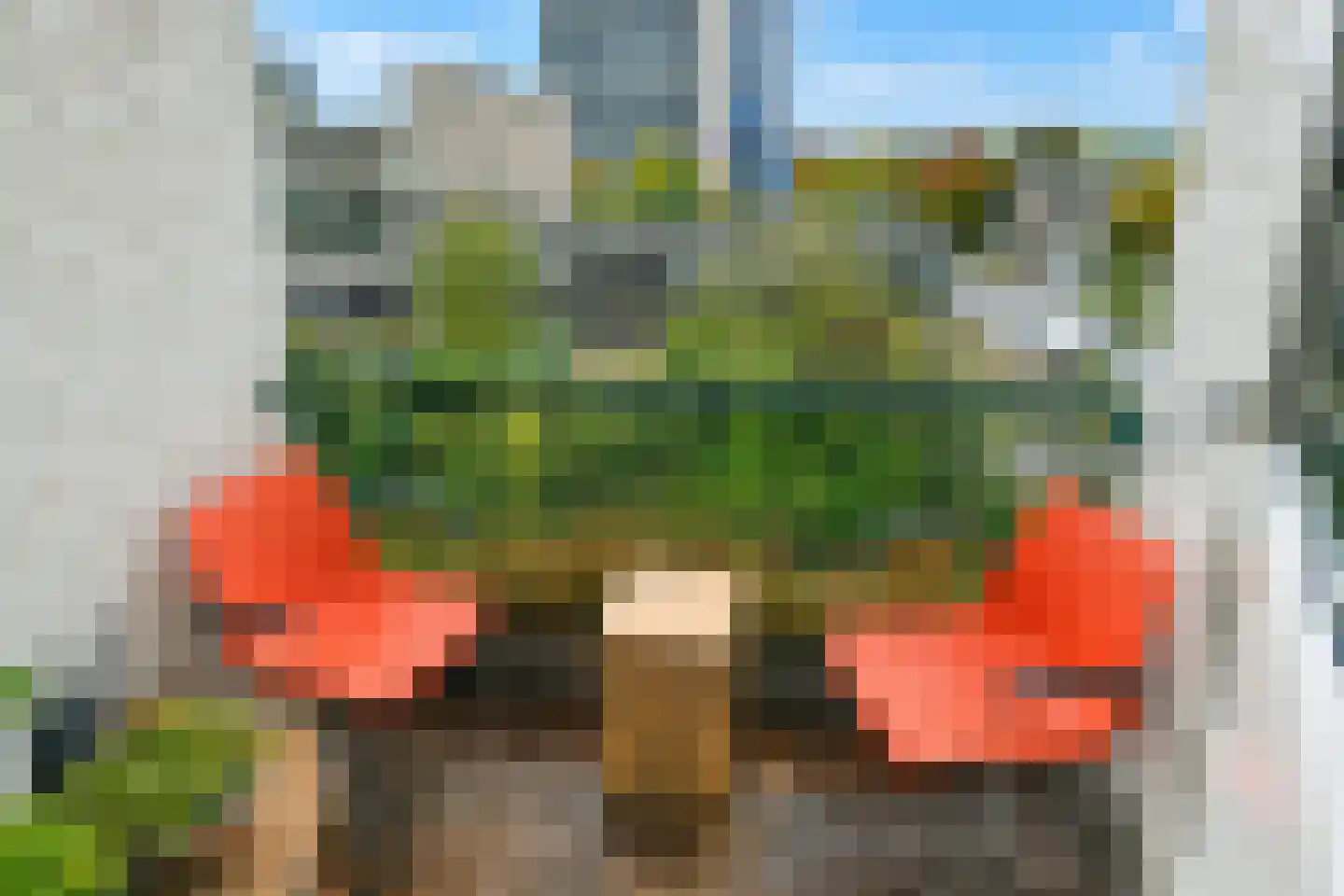 Dr. J.C. Hartogslaan 10 4 Arnhem thumbnail 20