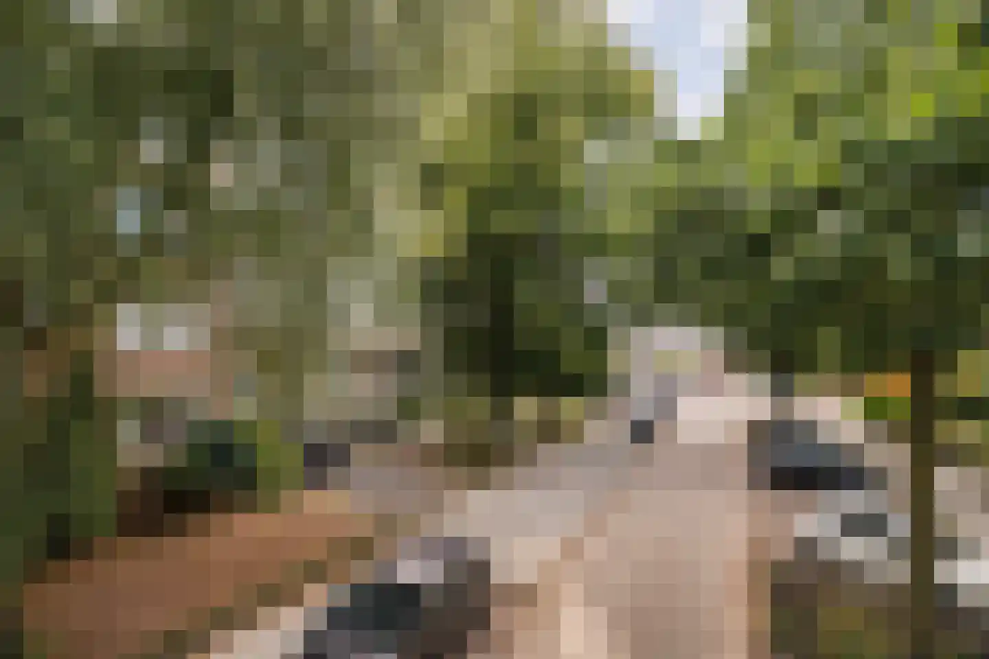 Dr. J.C. Hartogslaan 13 4 Arnhem thumbnail 38
