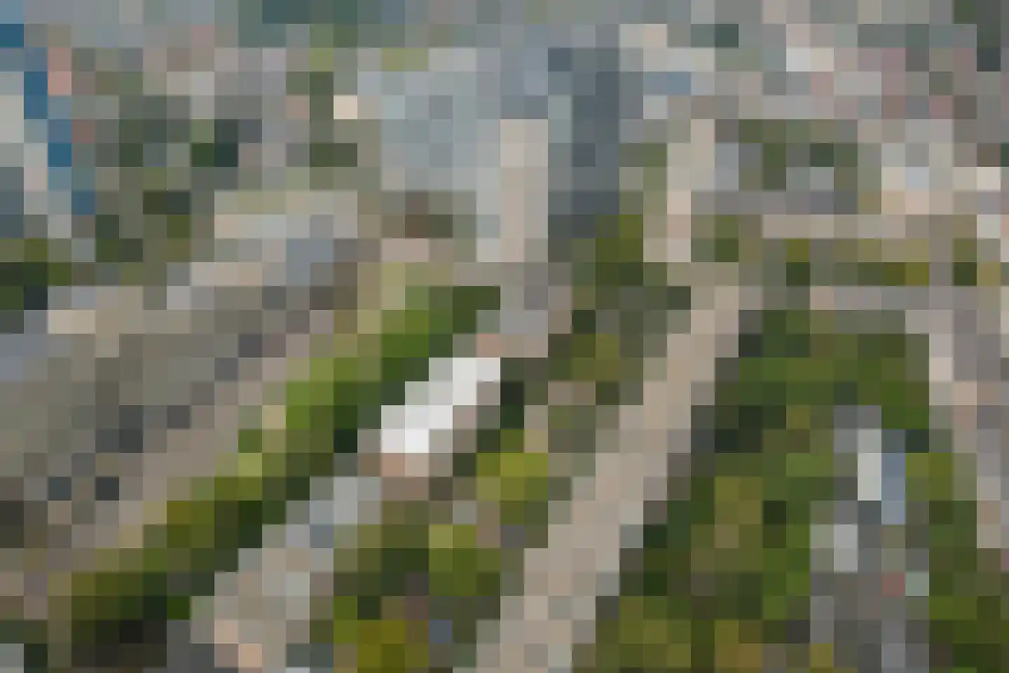 Dr. J.C. Hartogslaan 20 3 Arnhem thumbnail 32