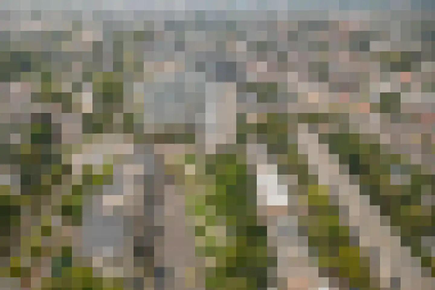 Dr. J.C. Hartogslaan 20 3 Arnhem thumbnail 33