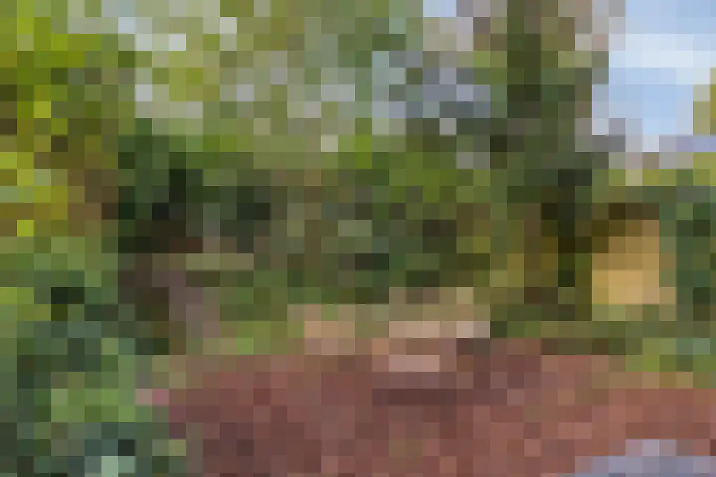 Dr. J.C. Hartogslaan 39 1 Arnhem thumbnail 31