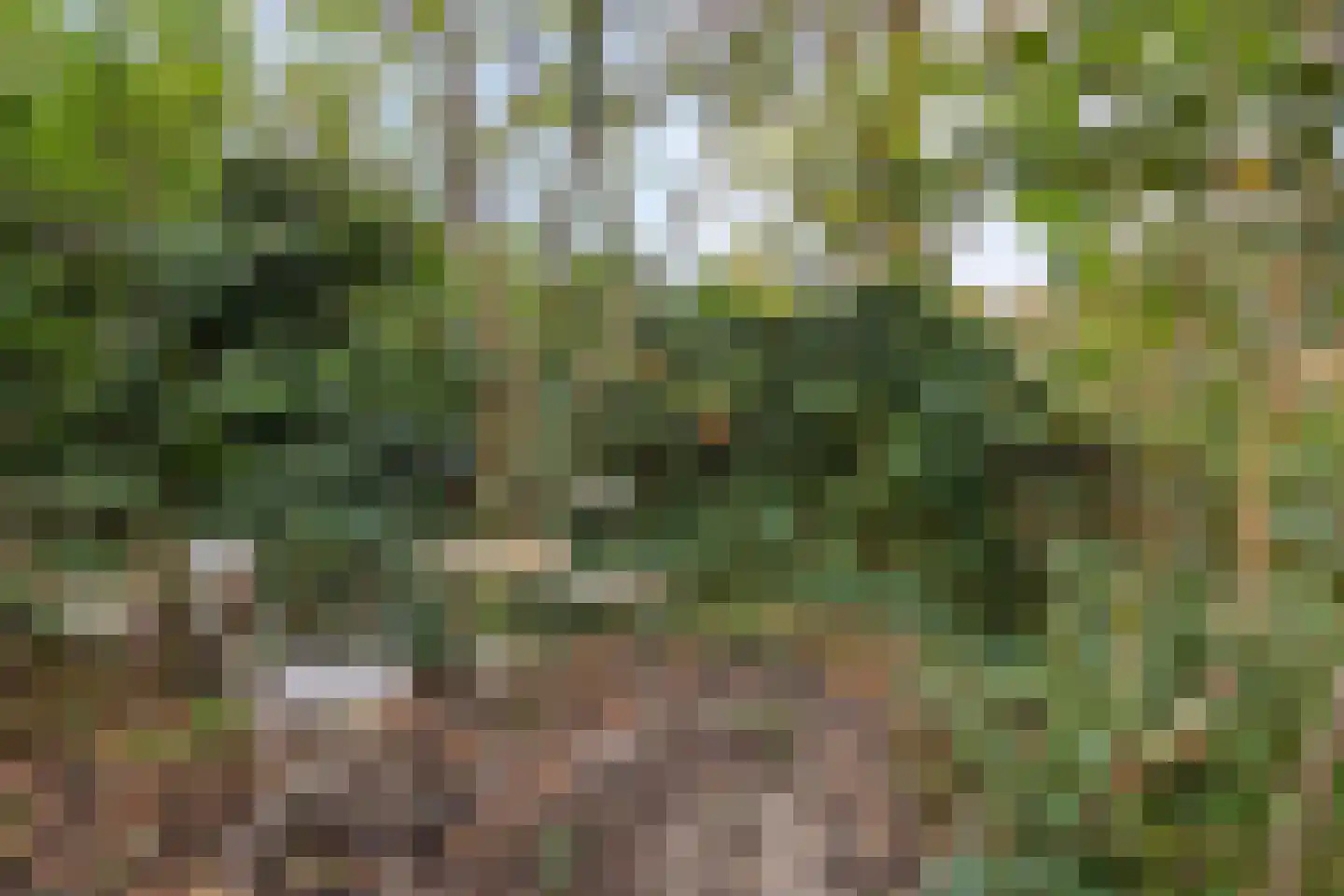 Dr. J.C. Hartogslaan 39 1 Arnhem thumbnail 32