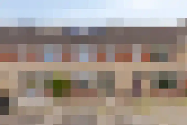 Dr J C Homanstraat 35 Coevorden thumbnail 35