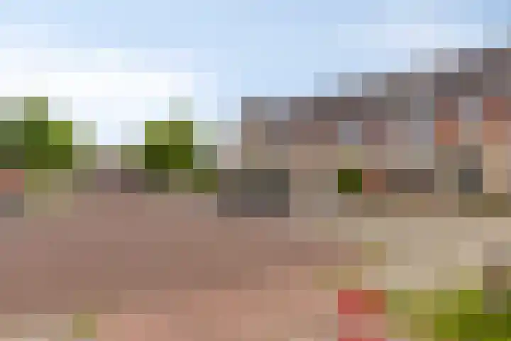 Dr J C Homanstraat 35 Coevorden thumbnail 5