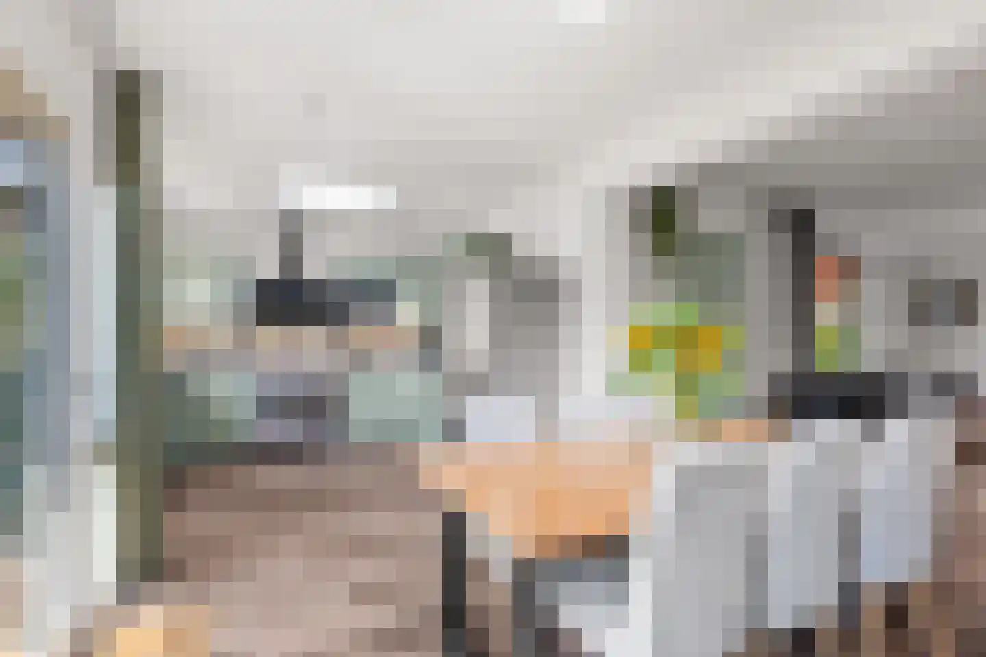 Dr. J.J.F. Steijlingweg 14 Maartensdijk thumbnail 4