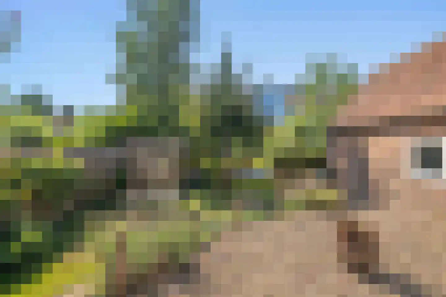 Dr. J.J.F. Steijlingweg 14 Maartensdijk thumbnail 46