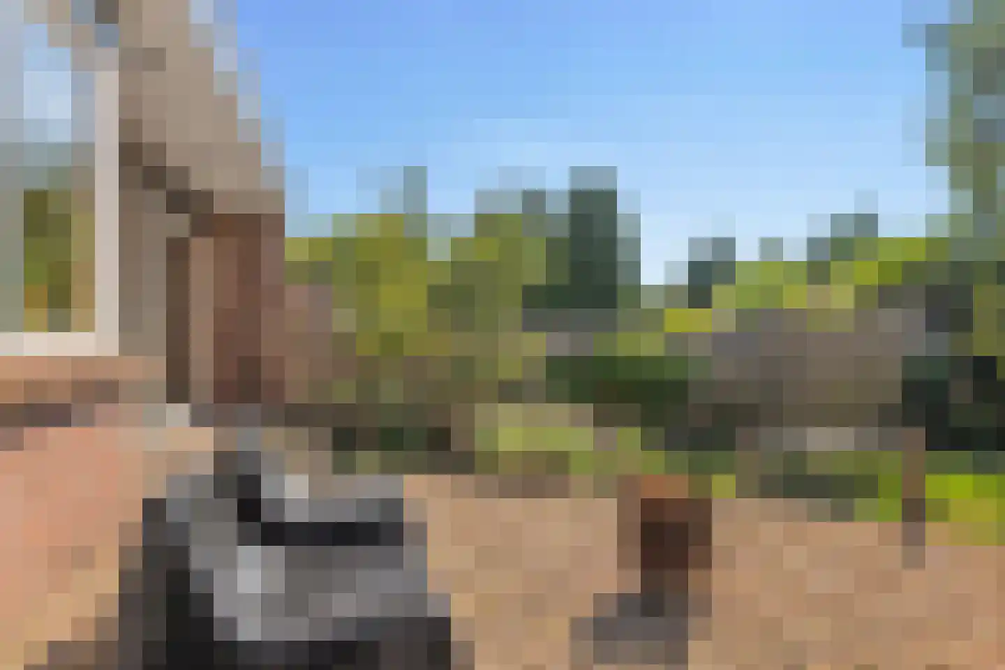Dr. J.J.F. Steijlingweg 14 Maartensdijk thumbnail 47