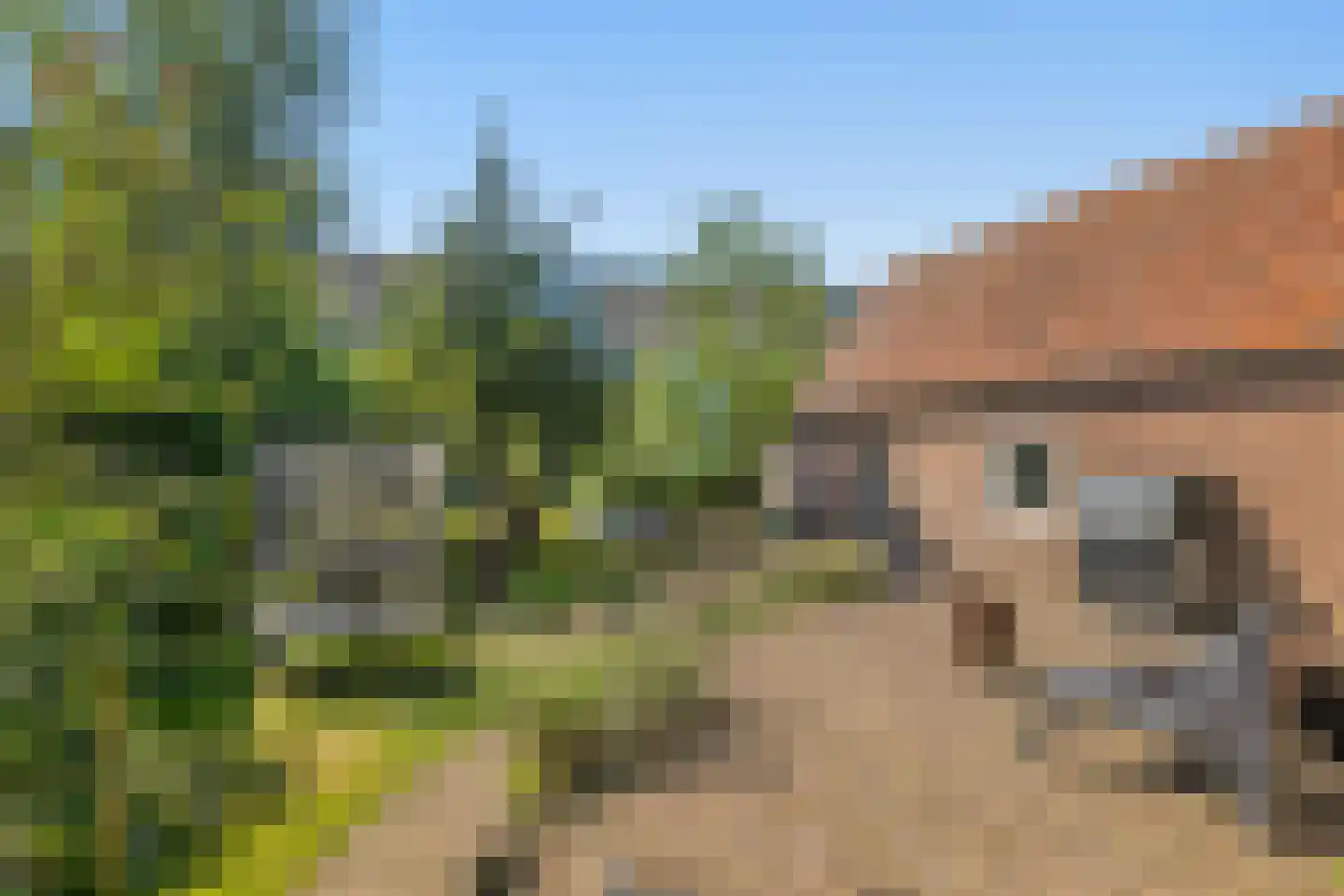 Dr. J.J.F. Steijlingweg 14 Maartensdijk thumbnail 48