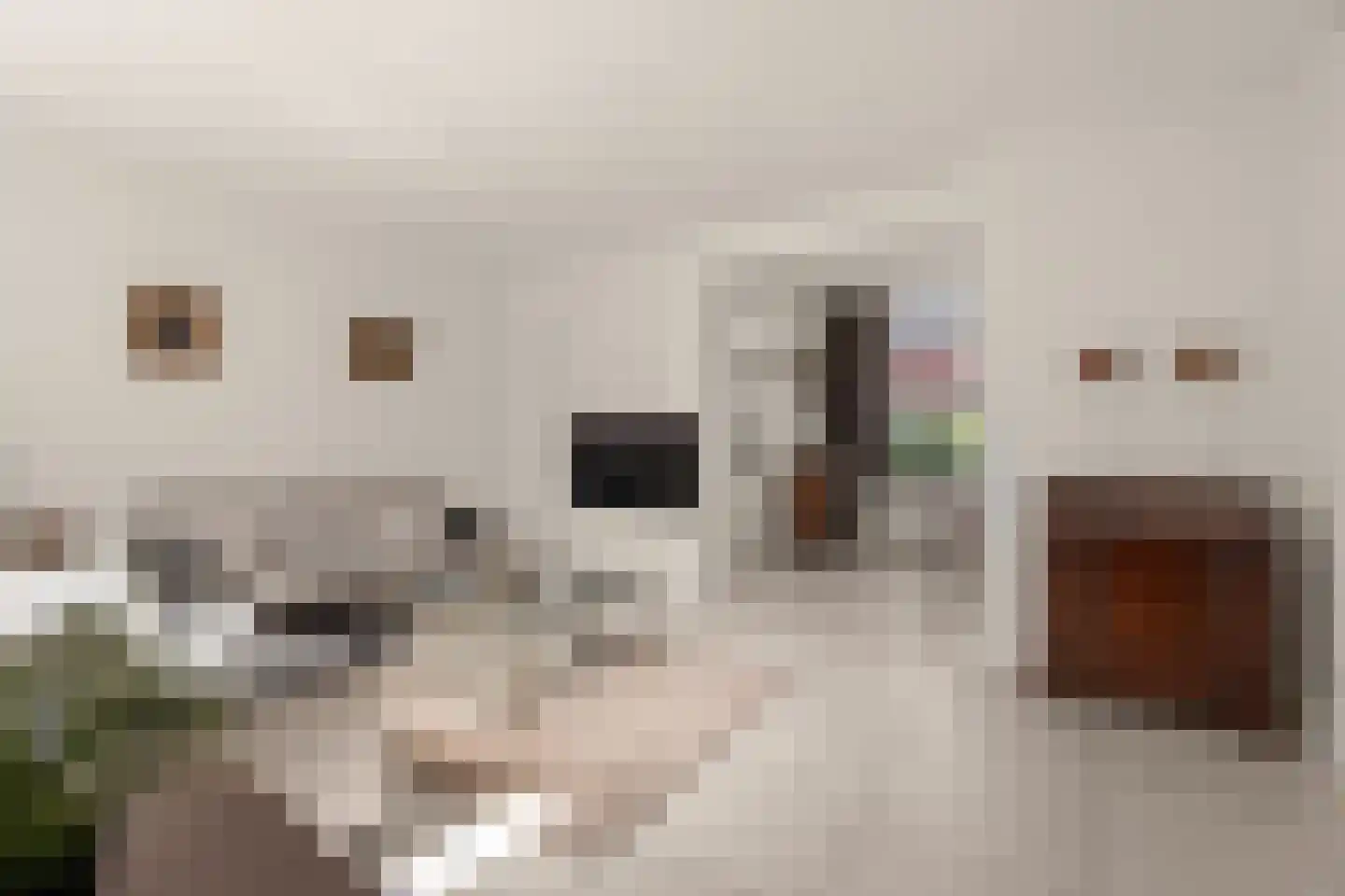 Dr. J.J.F. Steijlingweg 32 Maartensdijk thumbnail 11
