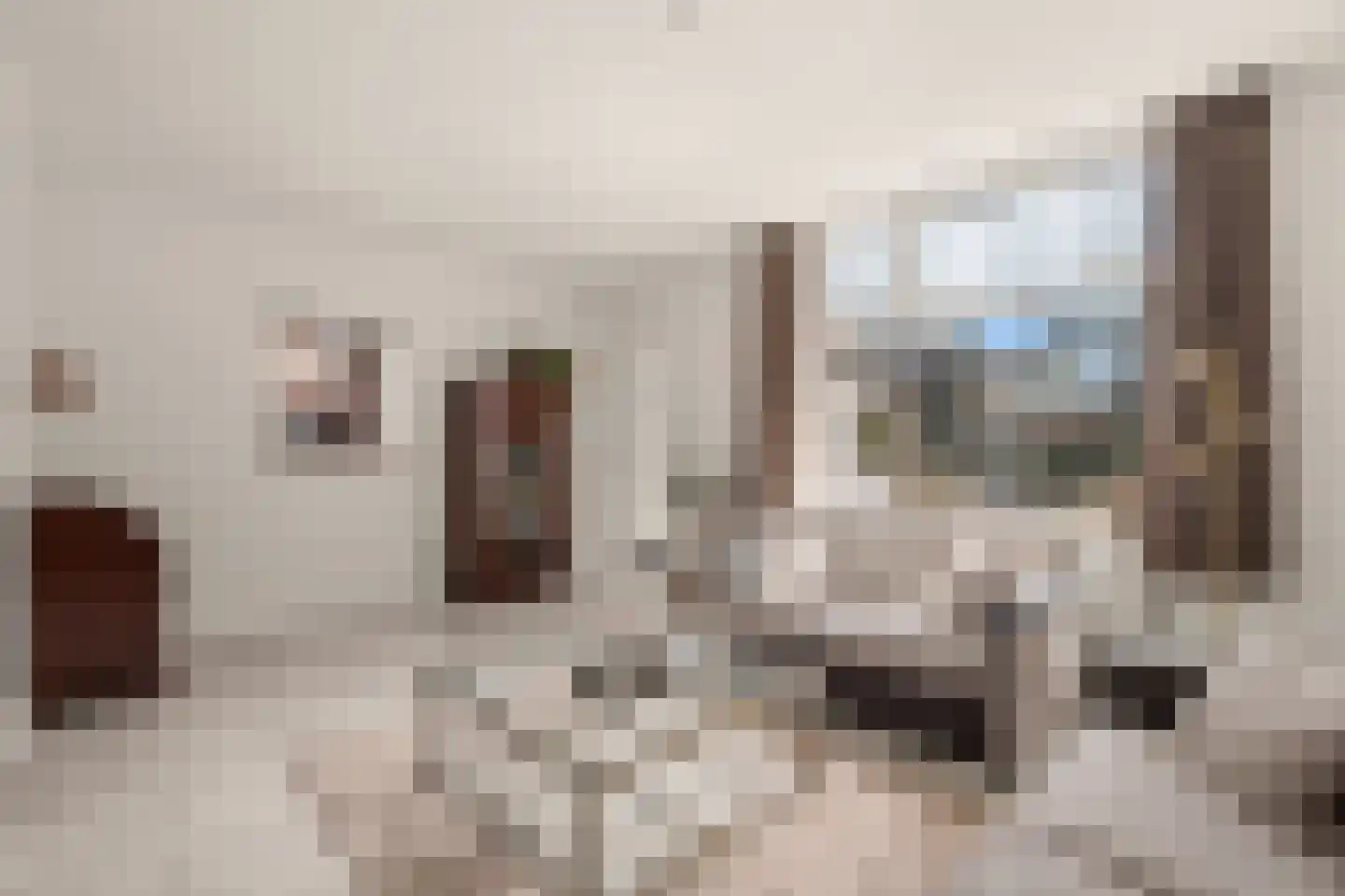 Dr. J.J.F. Steijlingweg 32 Maartensdijk thumbnail 12