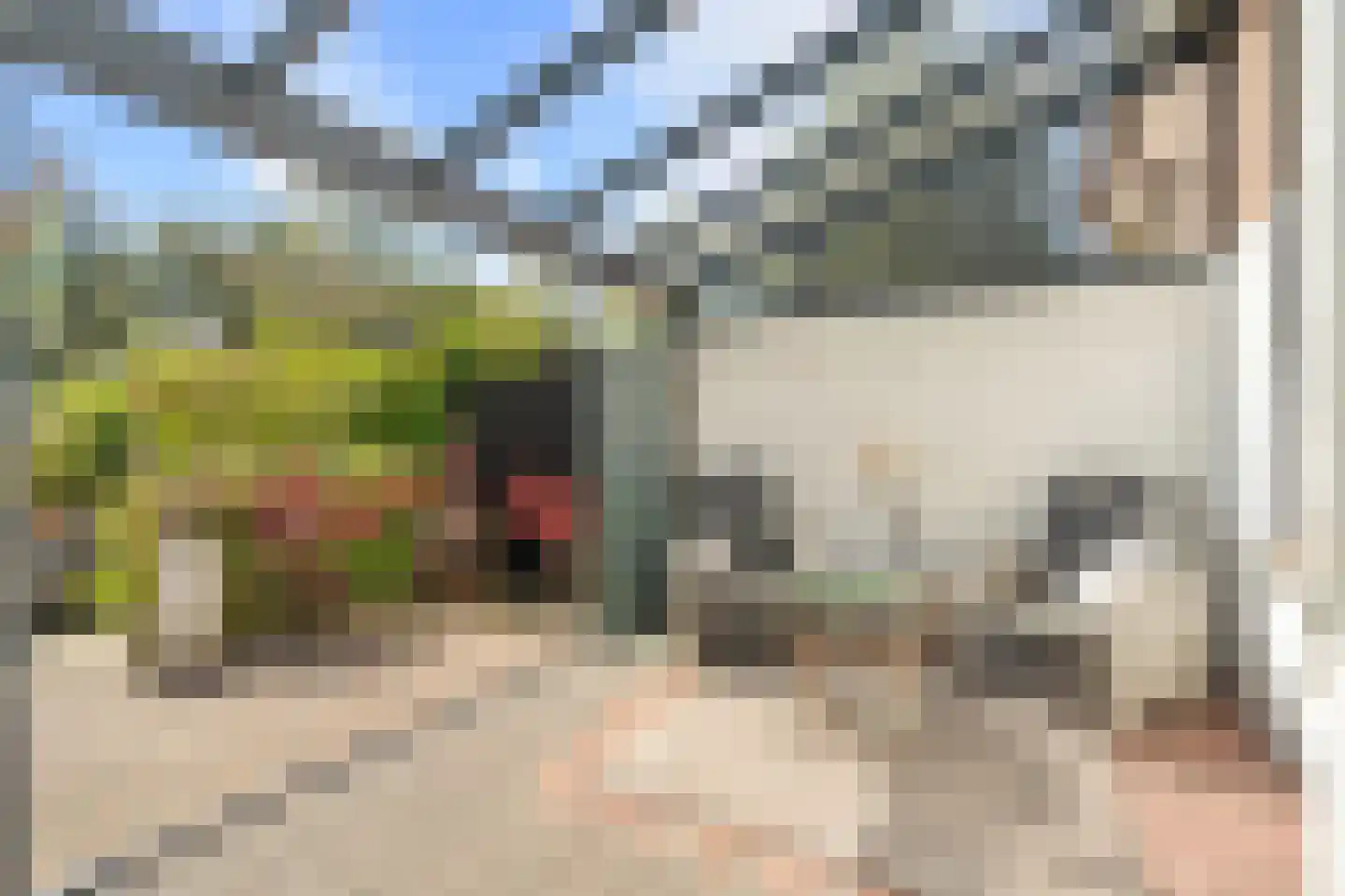 Dr. J.J.F. Steijlingweg 32 Maartensdijk thumbnail 20