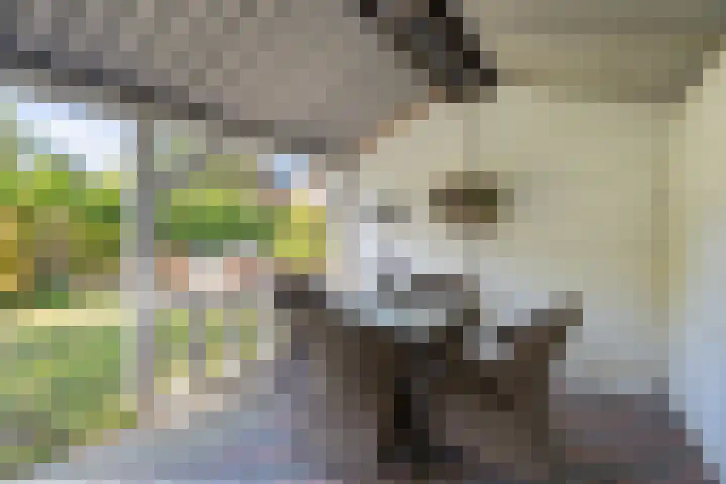 Dr. J.J.F. Steijlingweg 32 Maartensdijk thumbnail 28