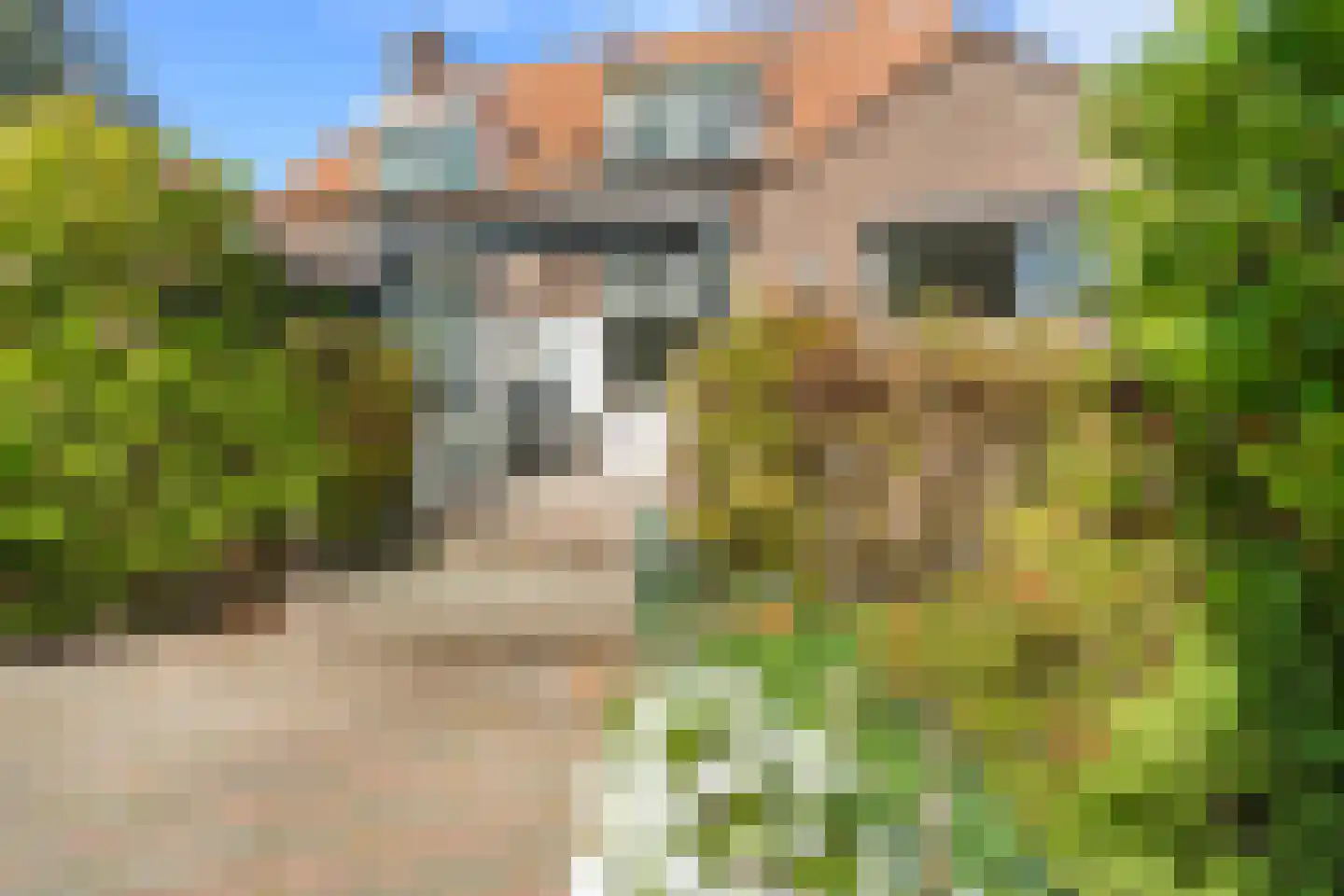 Dr. J.J.F. Steijlingweg 32 Maartensdijk thumbnail 32