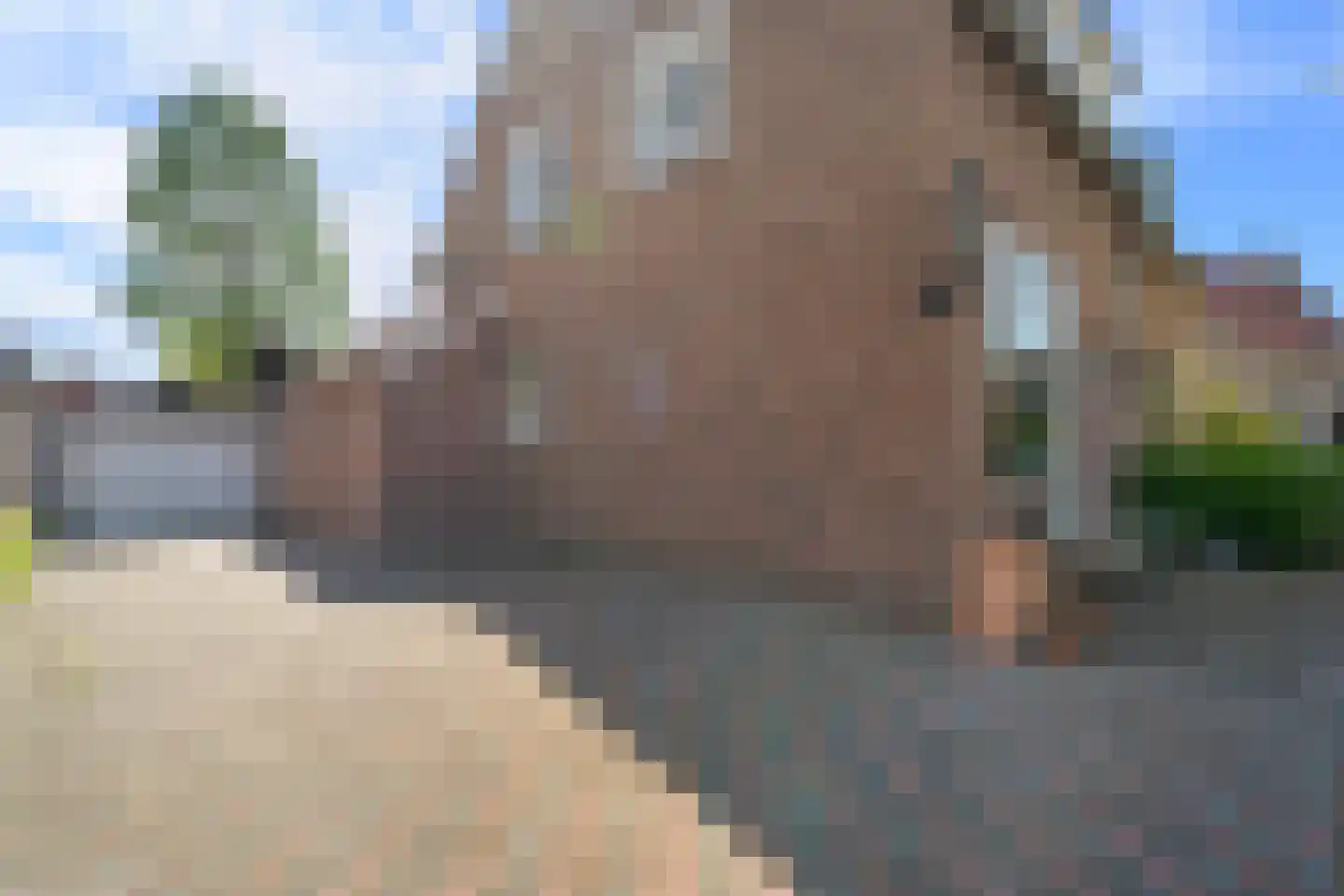 Dr. J.J.F. Steijlingweg 32 Maartensdijk thumbnail 49