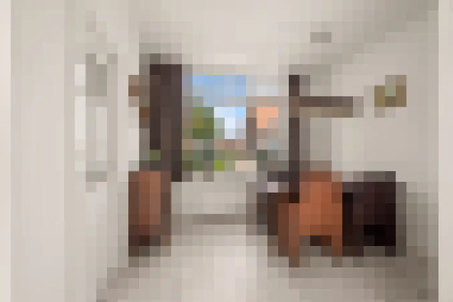 Dr. J.J.F. Steijlingweg 32 Maartensdijk thumbnail 5