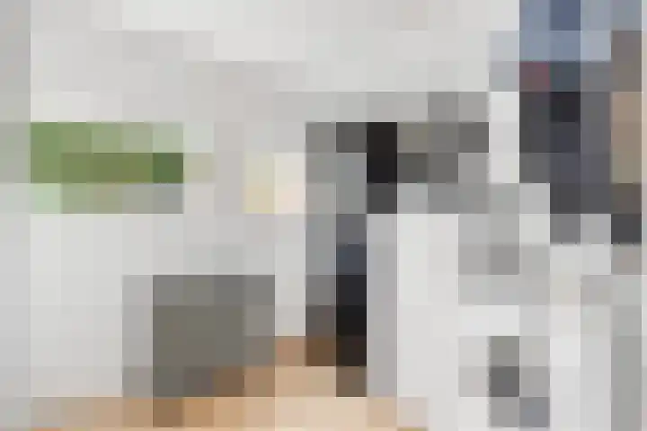 Dr. J.J.F. Steijlingweg 5 Maartensdijk thumbnail 12