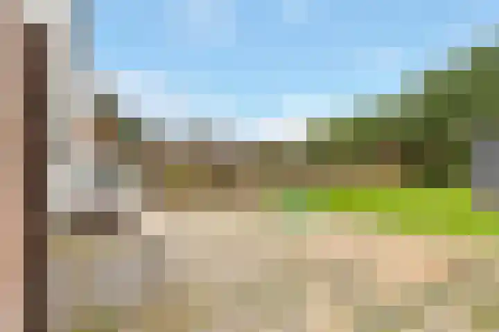 Dr. J.J.F. Steijlingweg 5 Maartensdijk thumbnail 14