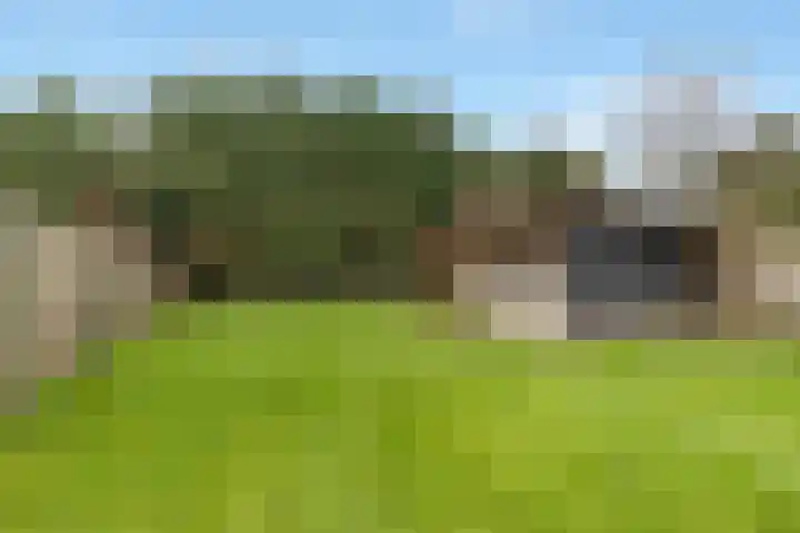 Dr. J.J.F. Steijlingweg 5 Maartensdijk thumbnail 15