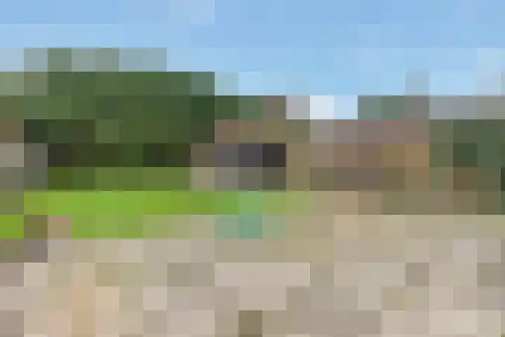 Dr. J.J.F. Steijlingweg 5 Maartensdijk thumbnail 17