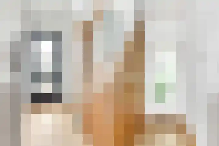 Dr. J.J.F. Steijlingweg 5 Maartensdijk thumbnail 5