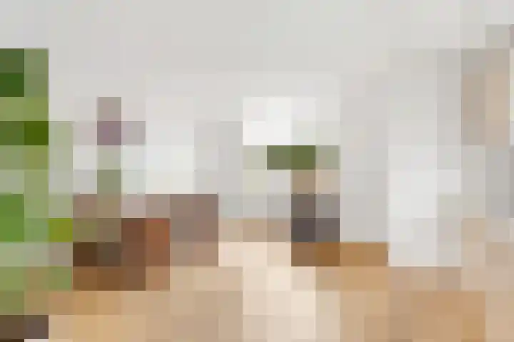 Dr. J.J.F. Steijlingweg 5 Maartensdijk thumbnail 8