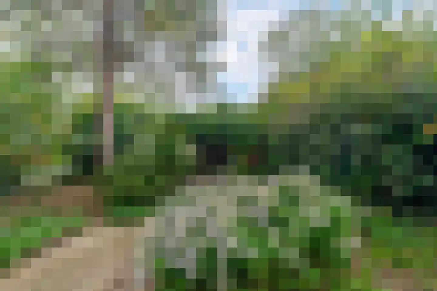 Dr. J.J.P. Oudsingel 2 Rotterdam thumbnail 5
