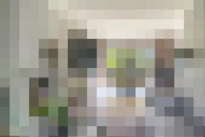 Dr. J.J.P. Oudsingel 44 Rotterdam thumbnail 10