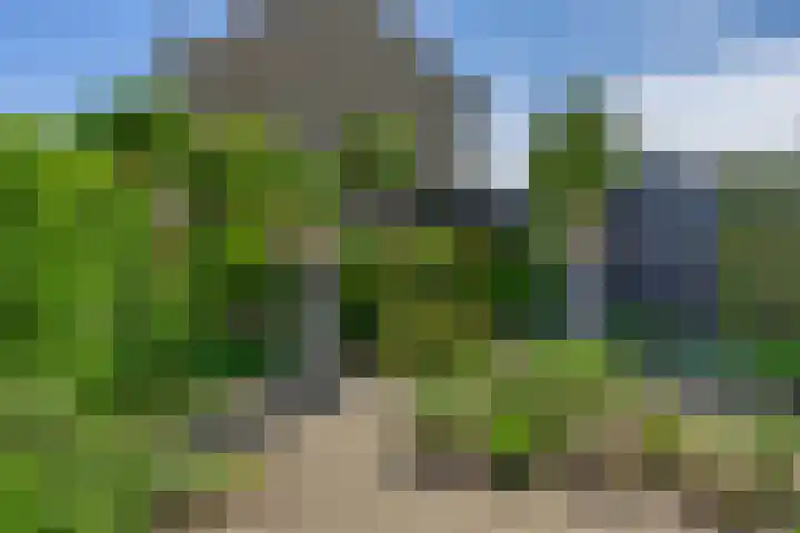 Dr. J.J.P. Oudsingel 44 Rotterdam thumbnail 39