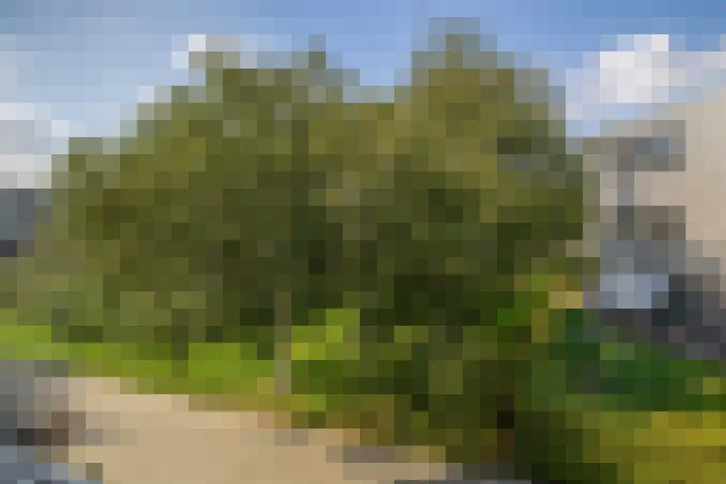 Dr. J.J.P. Oudsingel 52 Rotterdam thumbnail 41