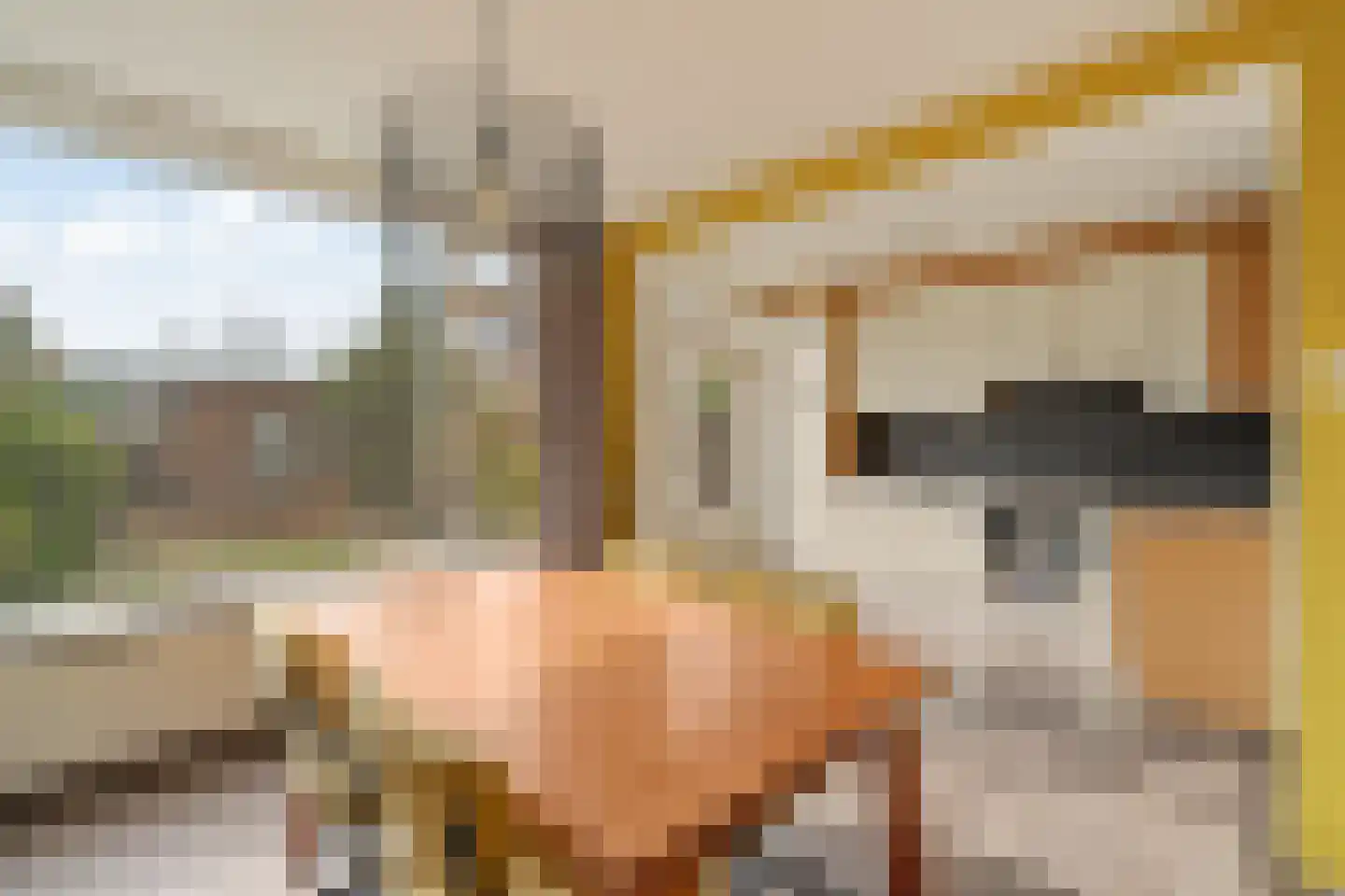 Dr. J.J.P. Oudsingel 58 Rotterdam thumbnail 5