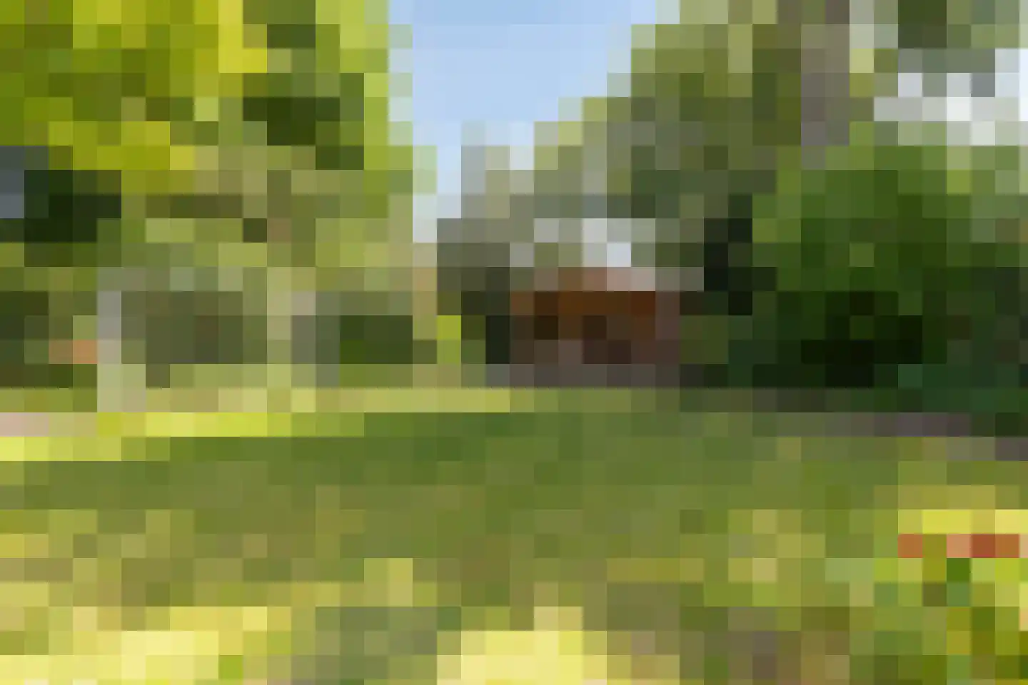Dr. J.J. van der Horststraat 16 Zaandijk thumbnail 28