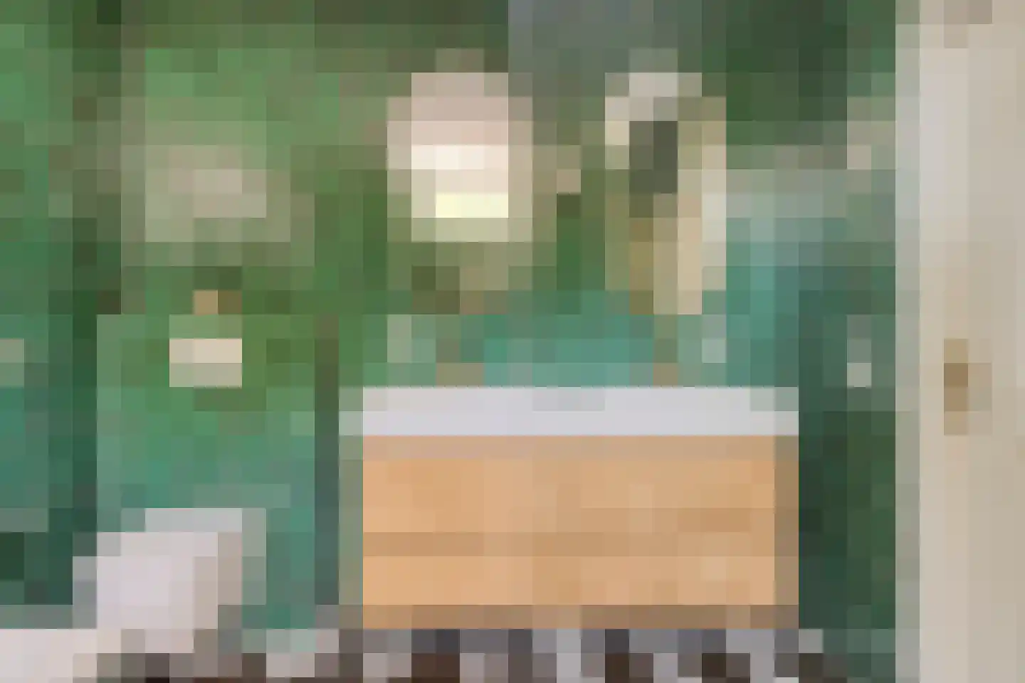 Dr. J.J. van der Horststraat 16 Zaandijk thumbnail 34