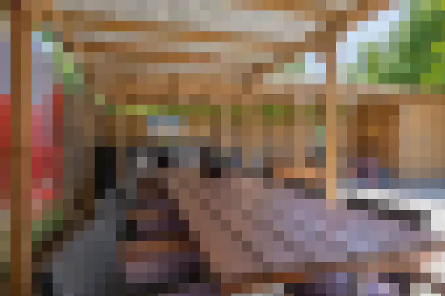 Dr. J.J. van der Horststraat 16 Zaandijk thumbnail 52