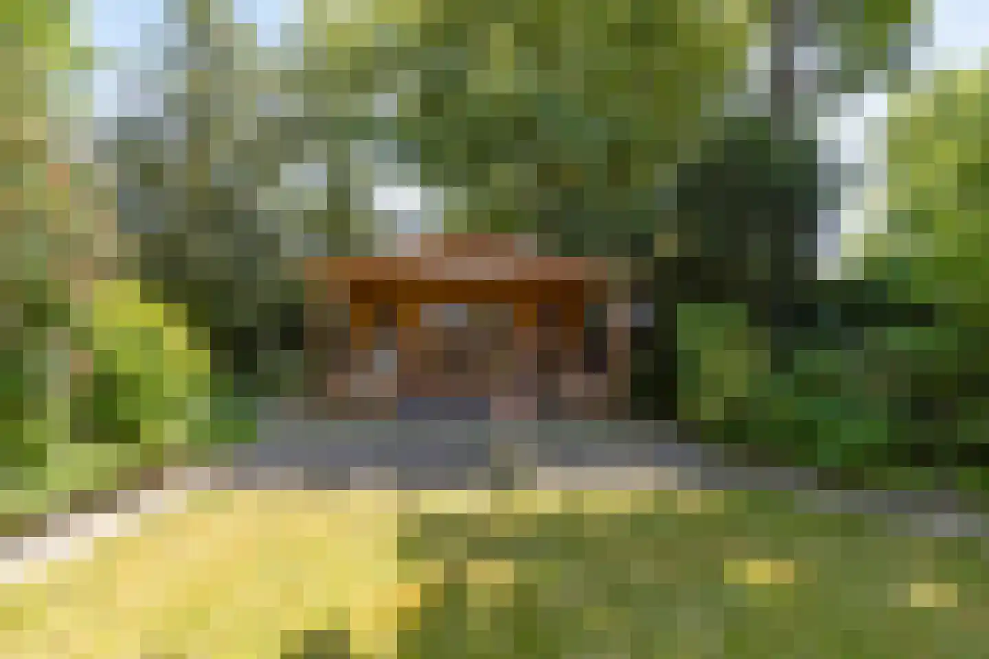 Dr. J.J. van der Horststraat 16 Zaandijk thumbnail 55