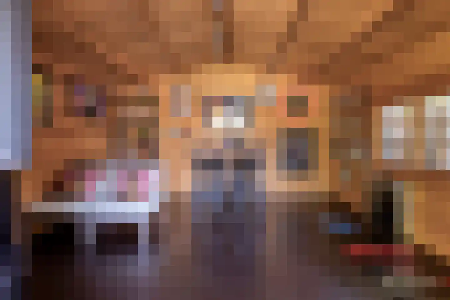 Dr. J.J. van der Horststraat 16 Zaandijk thumbnail 58