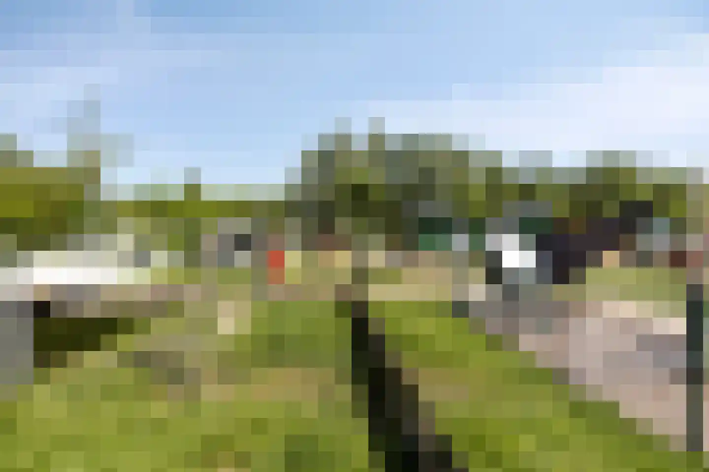Dr. J.J. van der Horststraat 16 Zaandijk thumbnail 68