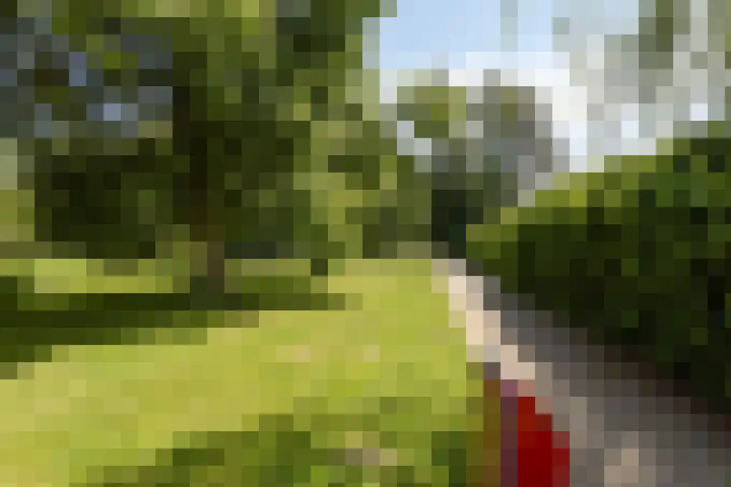 Dr. J.J. van der Horststraat 16 Zaandijk thumbnail 73