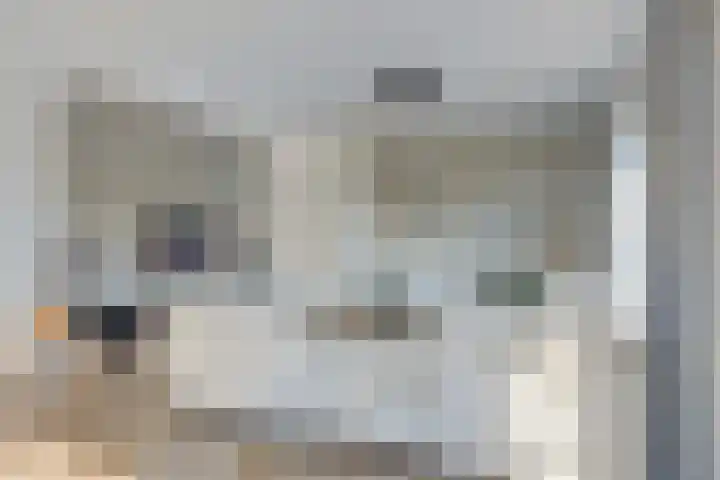 Dr. J.J. van der Horststraat 2 Zaandijk thumbnail 11