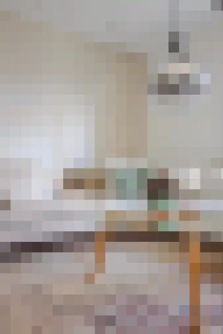 Dr. J.J. van der Horststraat 2 Zaandijk thumbnail 12