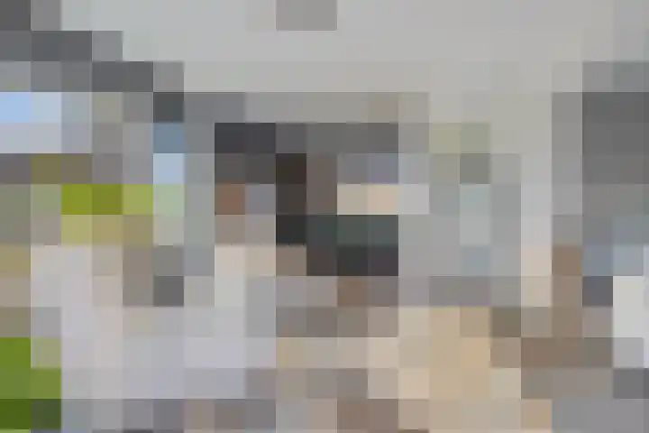 Dr. J.J. van der Horststraat 2 Zaandijk thumbnail 15
