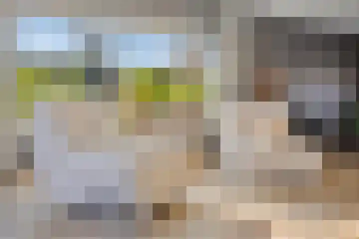 Dr. J.J. van der Horststraat 2 Zaandijk thumbnail 16