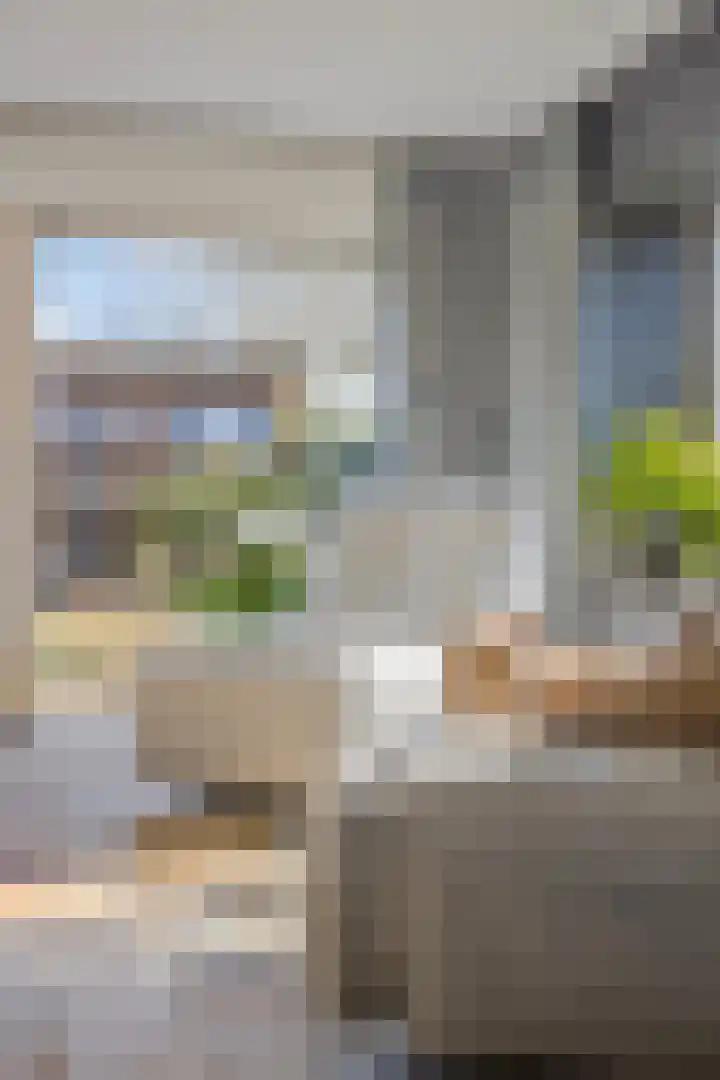 Dr. J.J. van der Horststraat 2 Zaandijk thumbnail 19