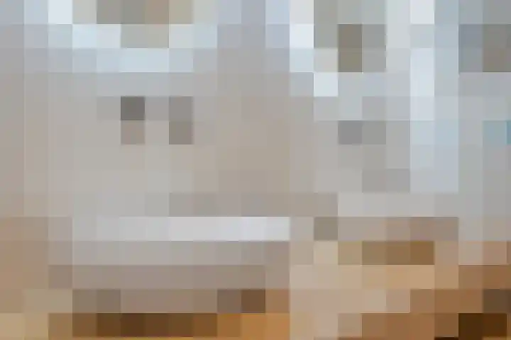 Dr. J.J. van der Horststraat 2 Zaandijk thumbnail 4